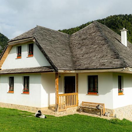 Pensiunea Hodaita Magura  Exterior photo