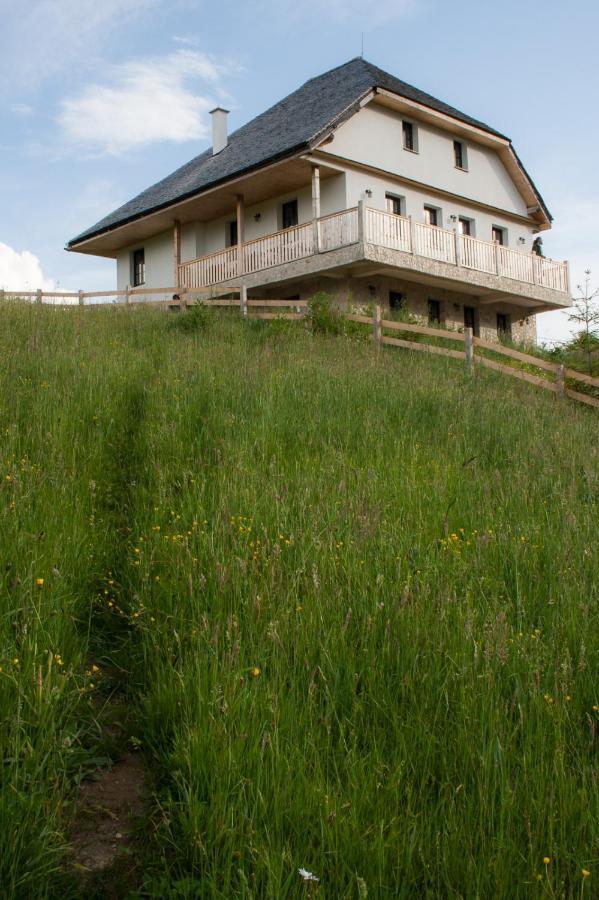 Pensiunea Hodaita Magura  Exterior photo