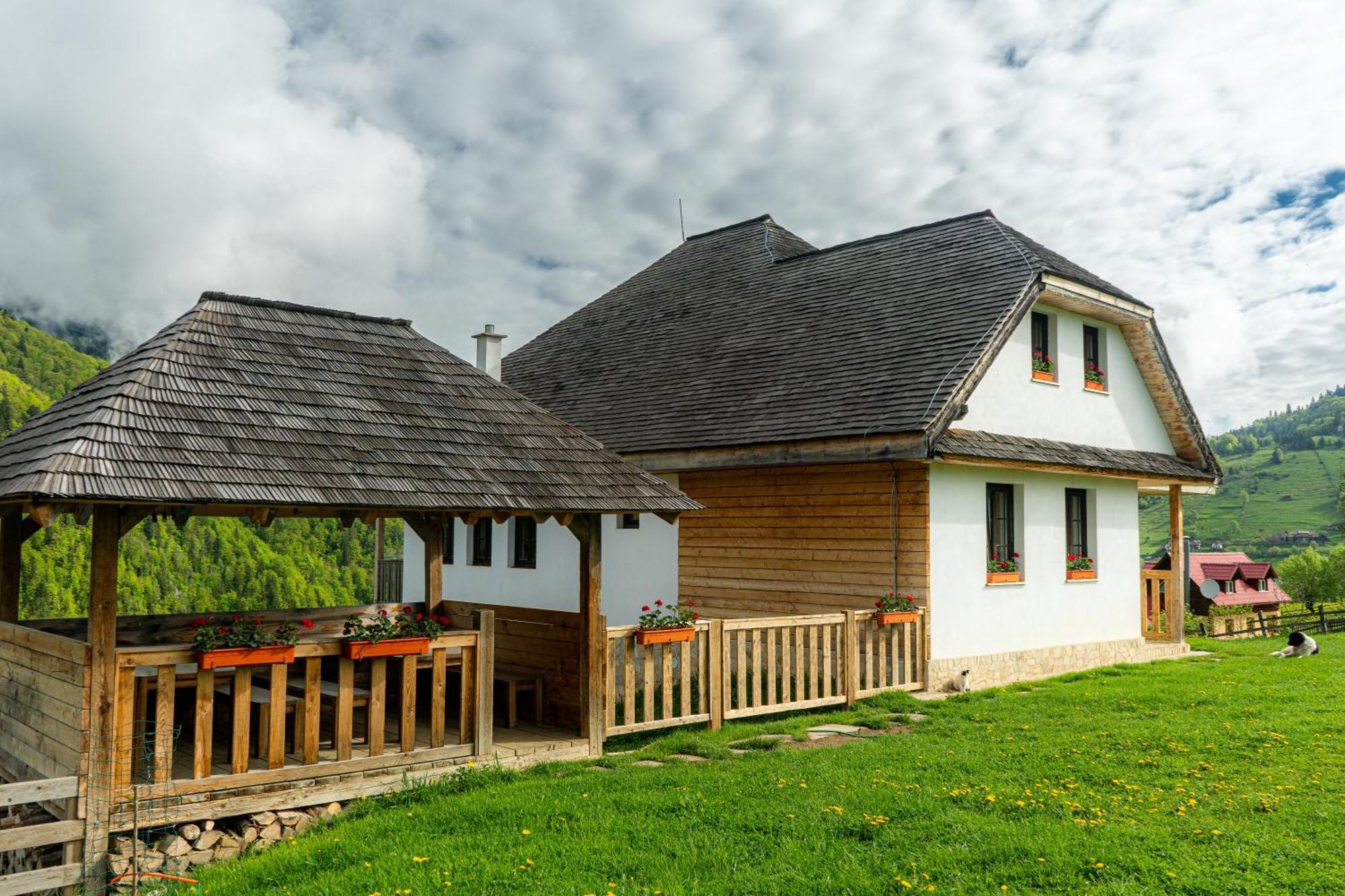 Pensiunea Hodaita Magura  Exterior photo